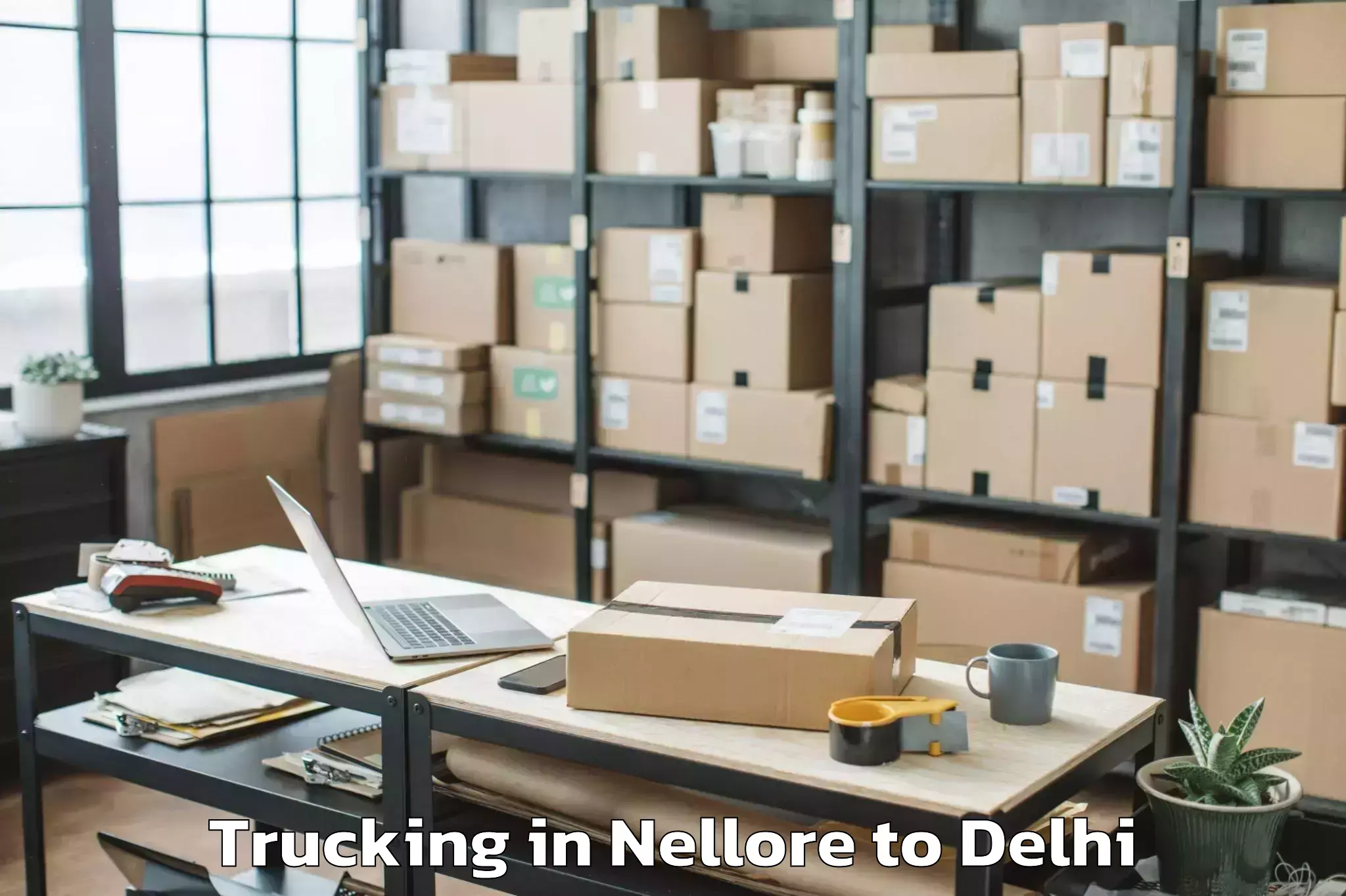 Nellore to Seema Puri Trucking Booking